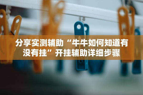 分享实测辅助“牛牛如何知道有没有挂”开挂辅助详细步骤