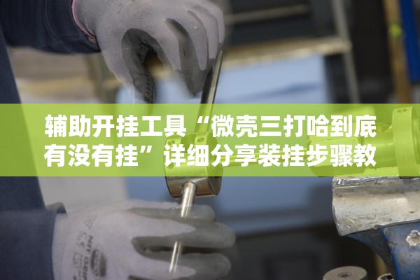 辅助开挂工具“微壳三打哈到底有没有挂”详细分享装挂步骤教程