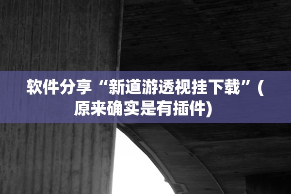 软件分享“新道游透视挂下载”(原来确实是有插件) 