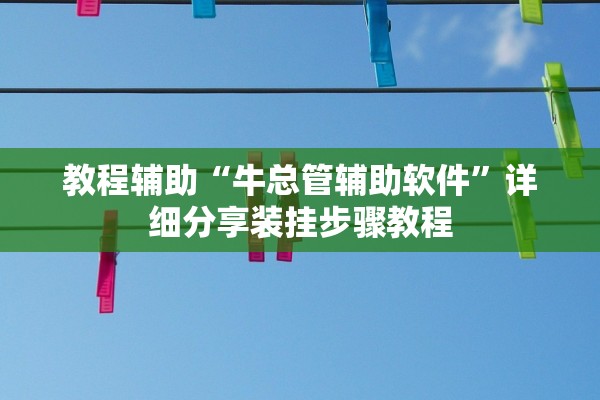 教程辅助“牛总管辅助软件”详细分享装挂步骤教程