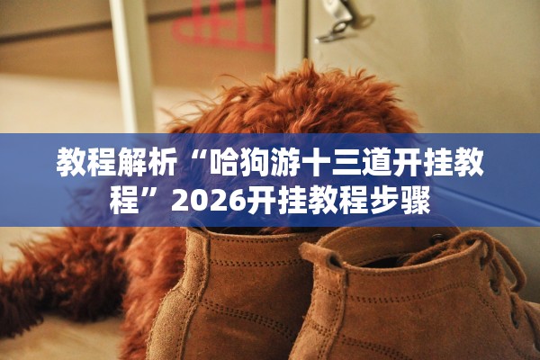 教程解析“哈狗游十三道开挂教程	”2026开挂教程步骤
