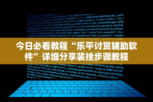 今日必看教程“乐平讨赏辅助软件”详细分享装挂步骤教程
