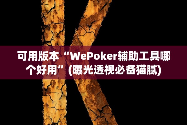 可用版本“WePoker辅助工具哪个好用	”(曝光透视必备猫腻)