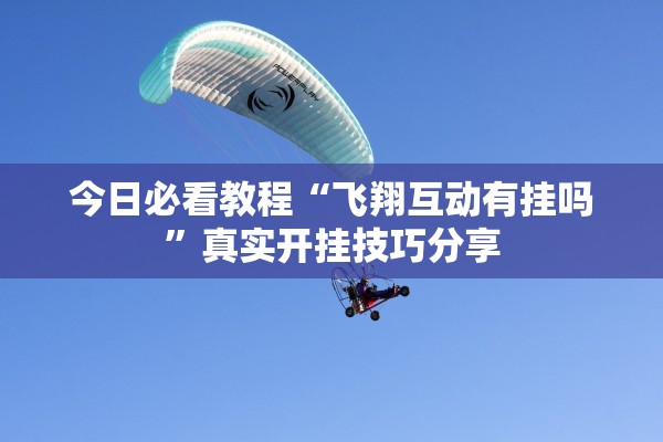 今日必看教程“飞翔互动有挂吗”真实开挂技巧分享