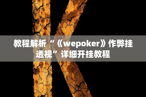 教程解析“《wepoker》作弊挂透视”详细开挂教程