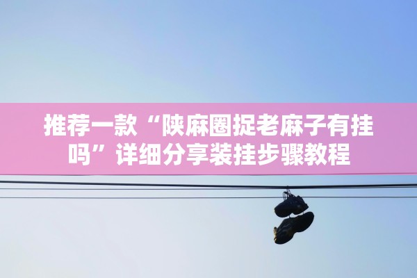 推荐一款“陕麻圈捉老麻子有挂吗”详细分享装挂步骤教程