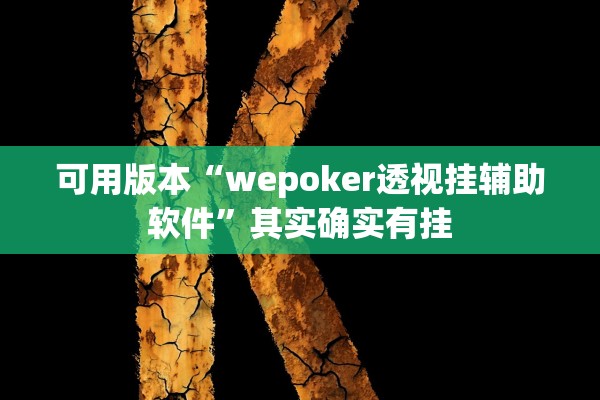 可用版本“wepoker透视挂辅助软件	”其实确实有挂