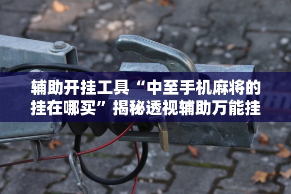 辅助开挂工具“中至手机麻将的挂在哪买	”揭秘透视辅助万能挂用法