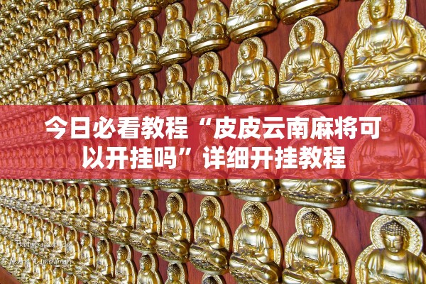 今日必看教程“皮皮云南麻将可以开挂吗”详细开挂教程