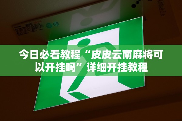 今日必看教程“皮皮云南麻将可以开挂吗”详细开挂教程