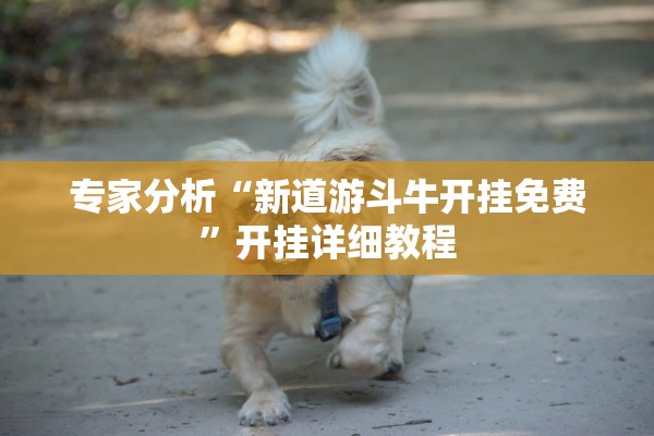 专家分析“新道游斗牛开挂免费	”开挂详细教程