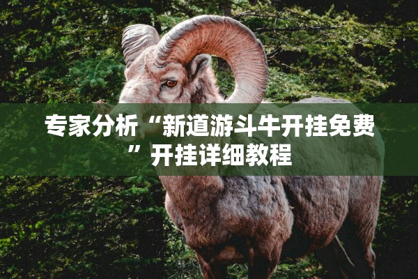 专家分析“新道游斗牛开挂免费”开挂详细教程