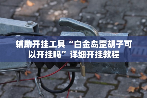 辅助开挂工具“白金岛歪胡子可以开挂吗	”详细开挂教程
