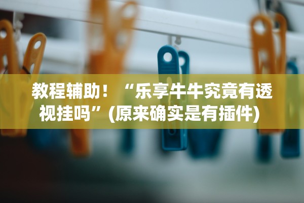 教程辅助！“乐享牛牛究竟有透视挂吗”(原来确实是有插件) 