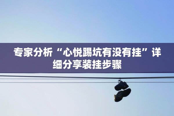 专家分析“心悦踢坑有没有挂”详细分享装挂步骤