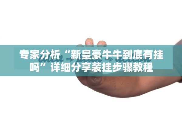 专家分析“新皇豪牛牛到底有挂吗”详细分享装挂步骤教程