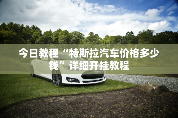 今日教程“特斯拉汽车价格多少钱”详细开挂教程
