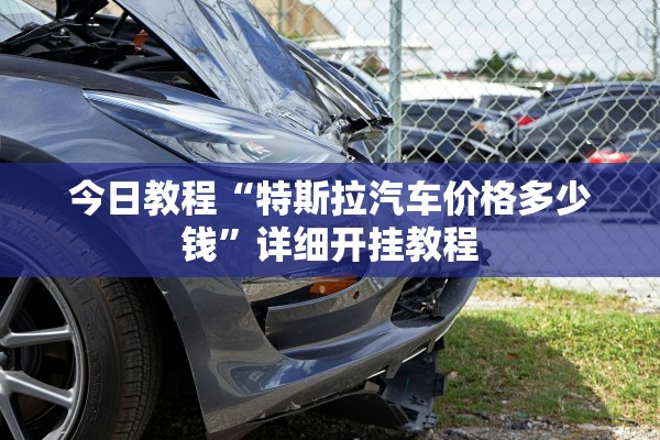 今日教程“特斯拉汽车价格多少钱”详细开挂教程