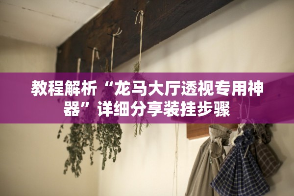 教程解析“龙马大厅透视专用神器”详细分享装挂步骤
