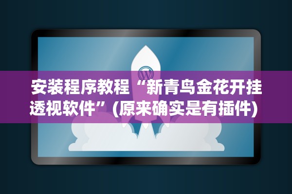 安装程序教程“新青鸟金花开挂透视软件”(原来确实是有插件) 