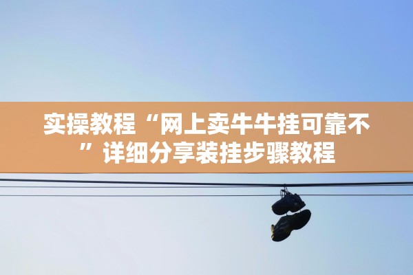 实操教程“网上卖牛牛挂可靠不	”详细分享装挂步骤教程