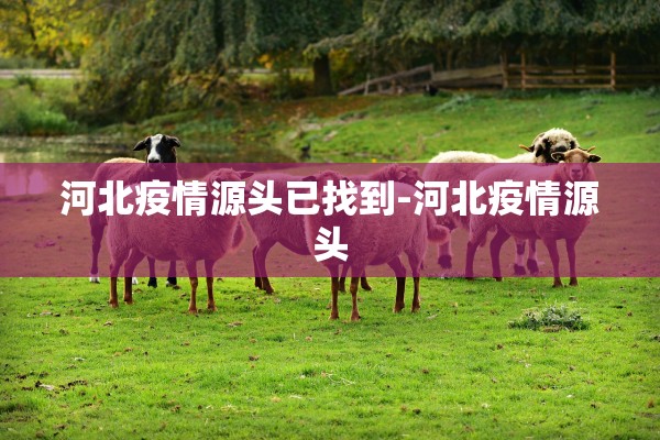 河北疫情源头已找到-河北疫情源头
