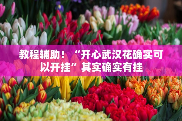 教程辅助！“开心武汉花确实可以开挂”其实确实有挂