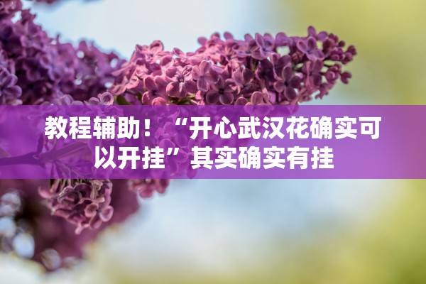 教程辅助！“开心武汉花确实可以开挂	”其实确实有挂