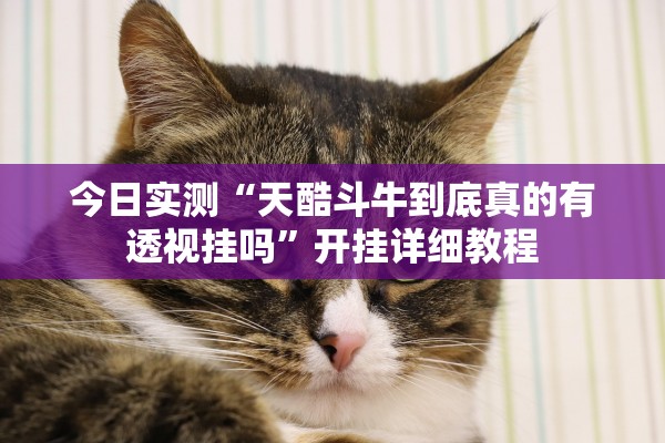 今日实测“天酷斗牛到底真的有透视挂吗”开挂详细教程