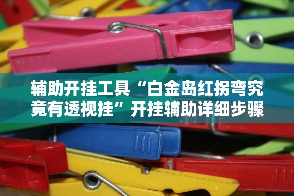 辅助开挂工具“白金岛红拐弯究竟有透视挂	”开挂辅助详细步骤
