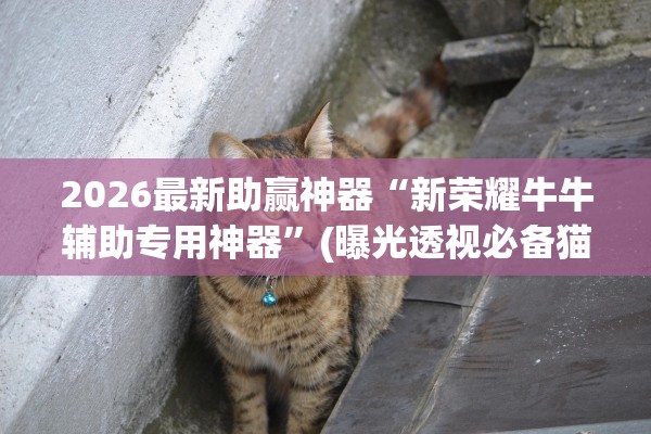 2026最新助赢神器“新荣耀牛牛辅助专用神器”(曝光透视必备猫腻)