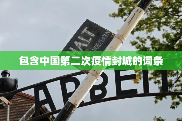 包含中国第二次疫情封城的词条