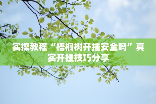 实操教程“梧桐树开挂安全吗”真实开挂技巧分享