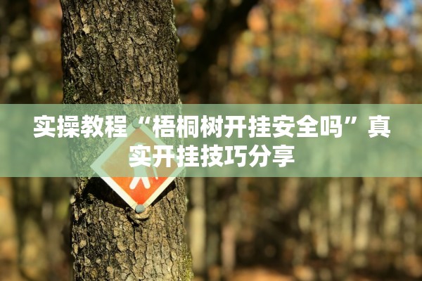 实操教程“梧桐树开挂安全吗”真实开挂技巧分享
