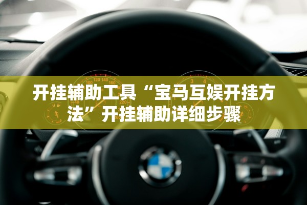开挂辅助工具“宝马互娱开挂方法”开挂辅助详细步骤