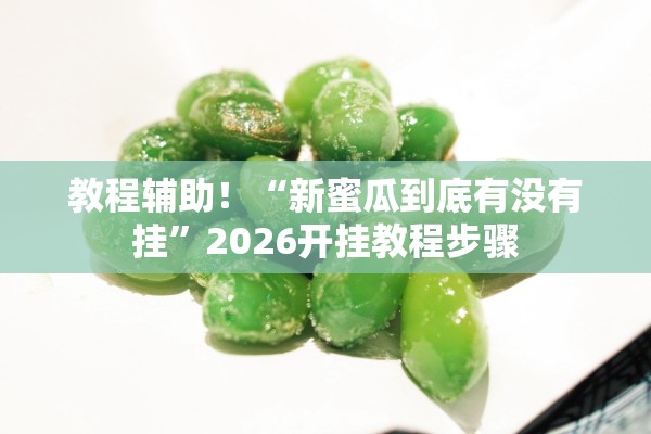 教程辅助！“新蜜瓜到底有没有挂”2026开挂教程步骤