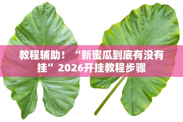 教程辅助！“新蜜瓜到底有没有挂	”2026开挂教程步骤
