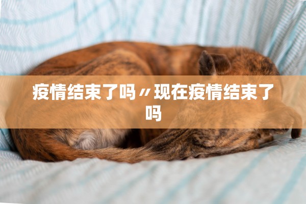 疫情结束了吗〃现在疫情结束了吗
