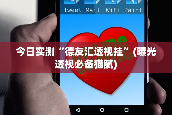 今日实测“德友汇透视挂”(曝光透视必备猫腻)