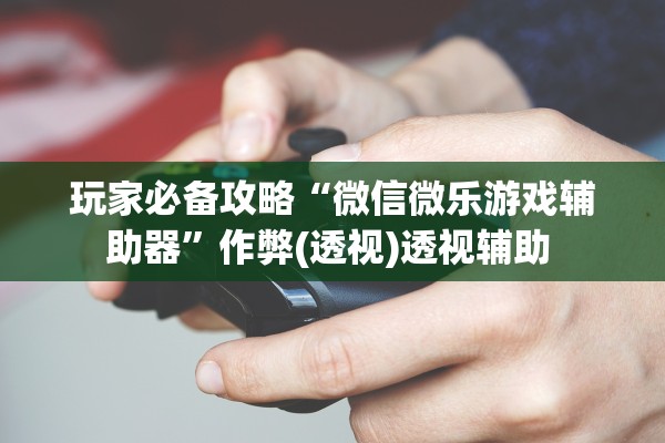 玩家必备攻略“微信微乐游戏辅助器”作弊(透视)透视辅助 