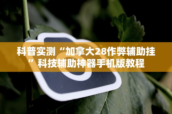 科普实测“加拿大28作弊辅助挂”科技辅助神器手机版教程