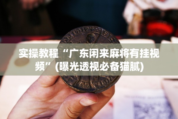 实操教程“广东闲来麻将有挂视频”(曝光透视必备猫腻)