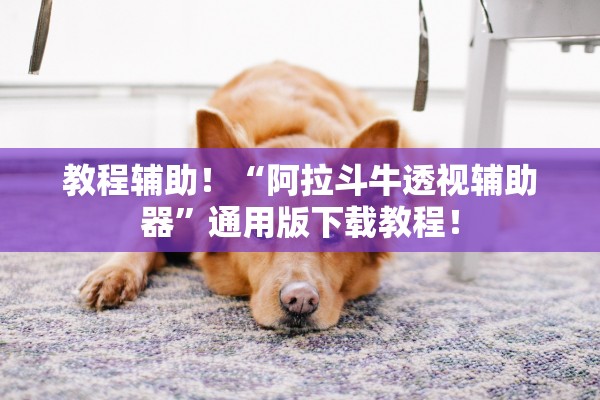 教程辅助！“阿拉斗牛透视辅助器”通用版下载教程！
