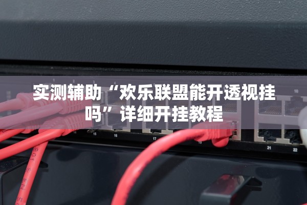 实测辅助“欢乐联盟能开透视挂吗”详细开挂教程