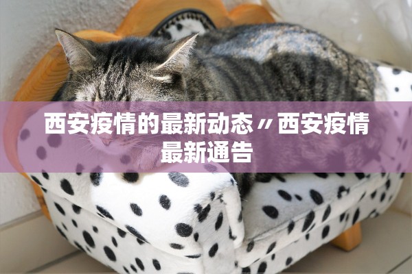 西安疫情的最新动态〃西安疫情最新通告