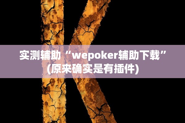 实测辅助“wepoker辅助下载”(原来确实是有插件)