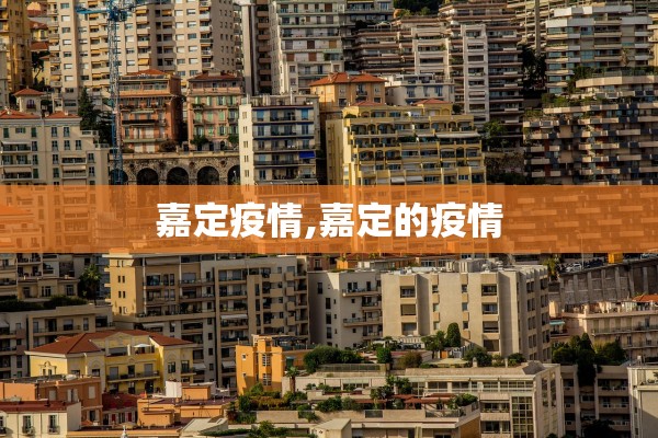 嘉定疫情,嘉定的疫情