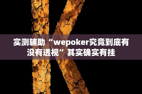 实测辅助“wepoker究竟到底有没有透视	”其实确实有挂