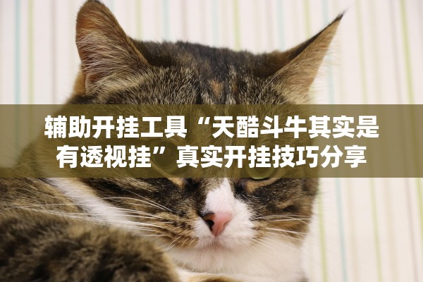 辅助开挂工具“天酷斗牛其实是有透视挂	”真实开挂技巧分享