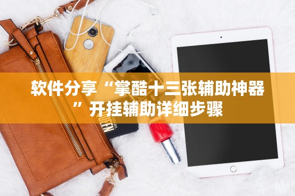 软件分享“掌酷十三张辅助神器”开挂辅助详细步骤